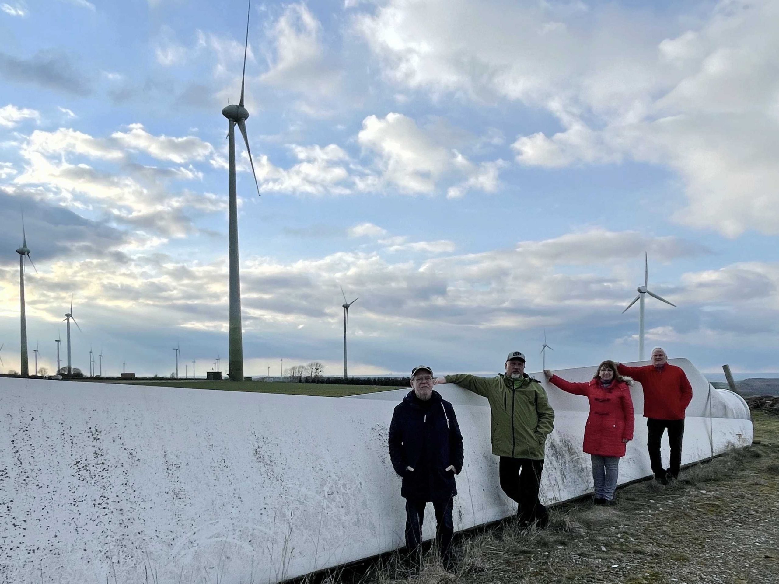 Windkraft im Wald