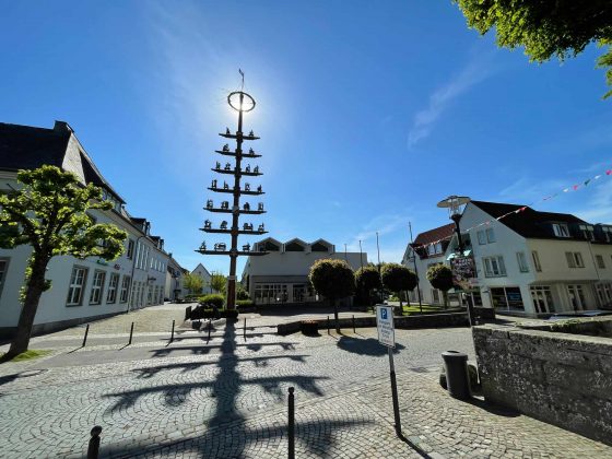 Maibaum-Rüthen_web