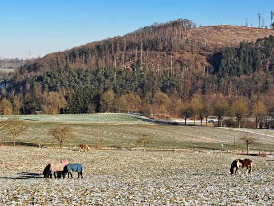 Winterlandschaft