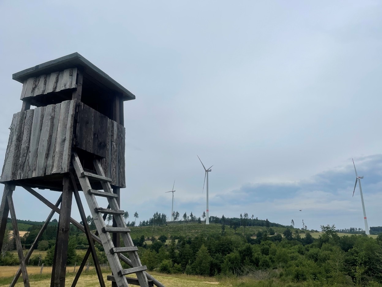 Read more about the article Windkraftanlagen im Wald, ein erster Erfolg der SPD Fraktion 